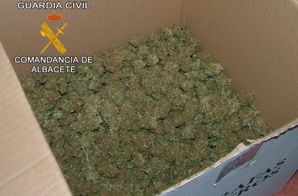 marihuana_guardia_civil