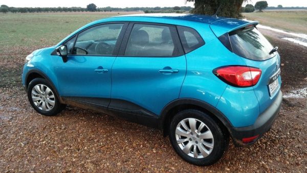 Parte posterior “musculosa”, “hombros” marcados, mayor altura libre al suelo.