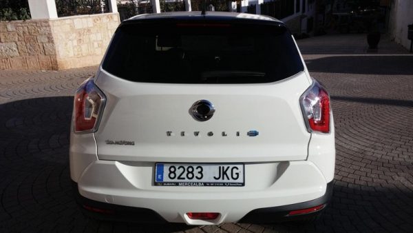 Parte posterior que afianza su aspecto general robusto, con el nombre de la marcha y predominio de un gran espacio de “chapa”.