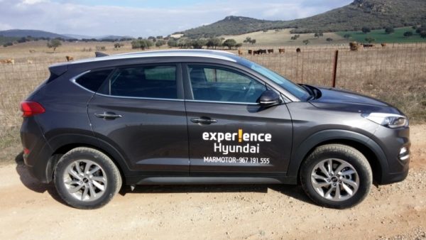 Nuevo diseño, fluido y dinámico.