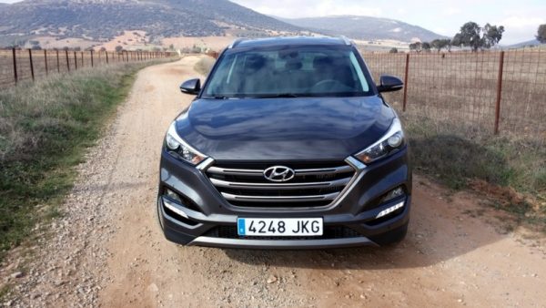 Gran parrilla hexagonal en la parte frontal, emblema de diseño de Hyundai