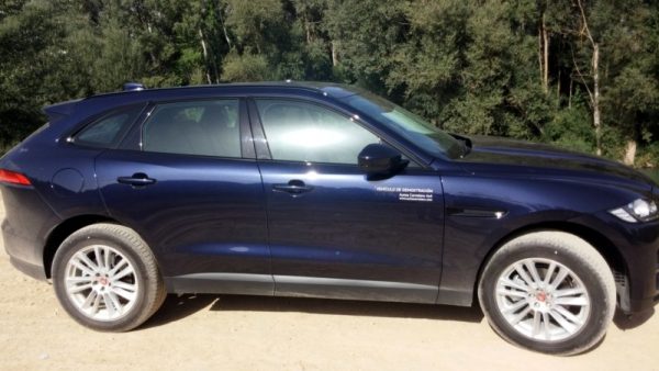 Medidas relativamente grandes en el exterior y gran trabajo de diseño.